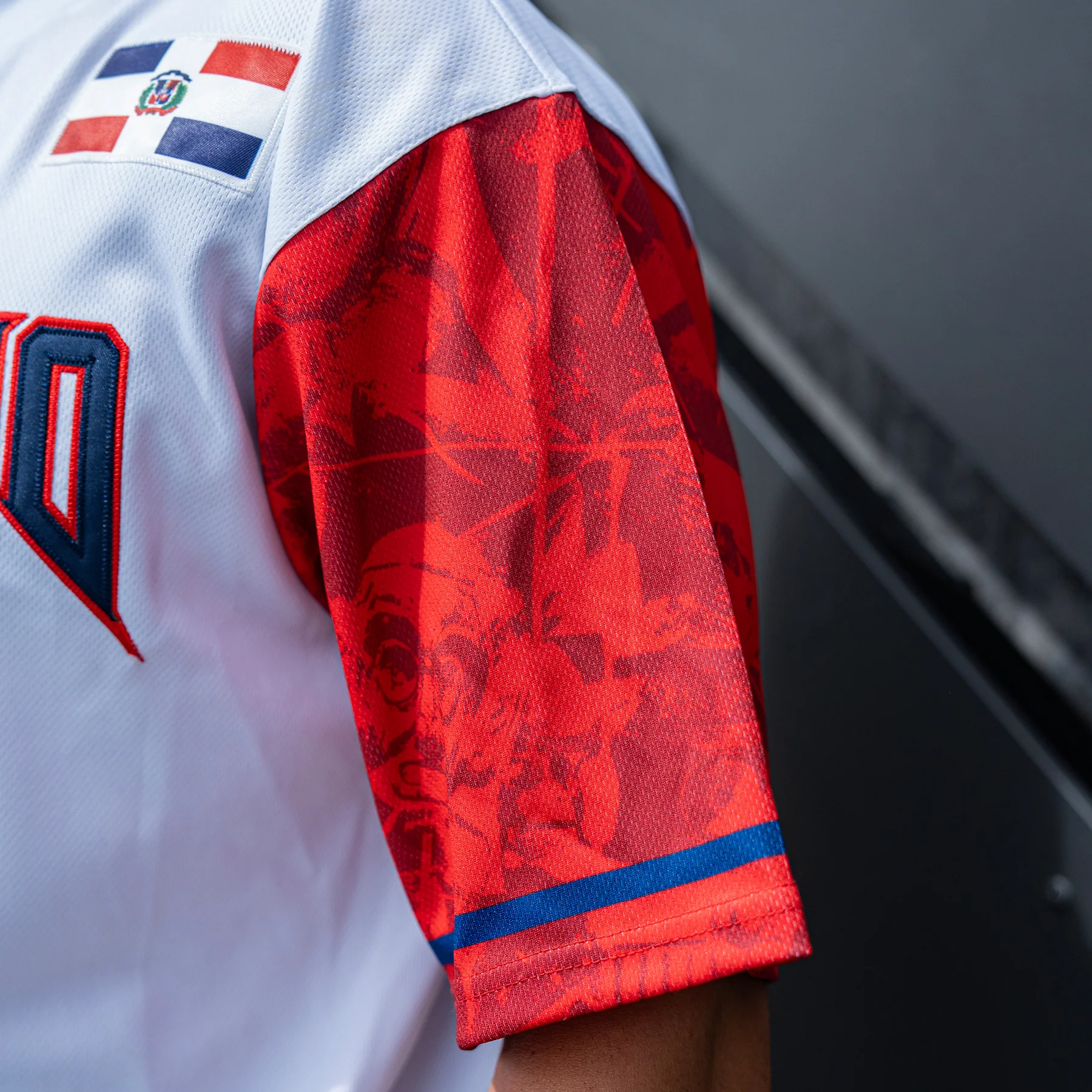 Dominican Republic Heritage Custom Baseball Jersey - Image 15