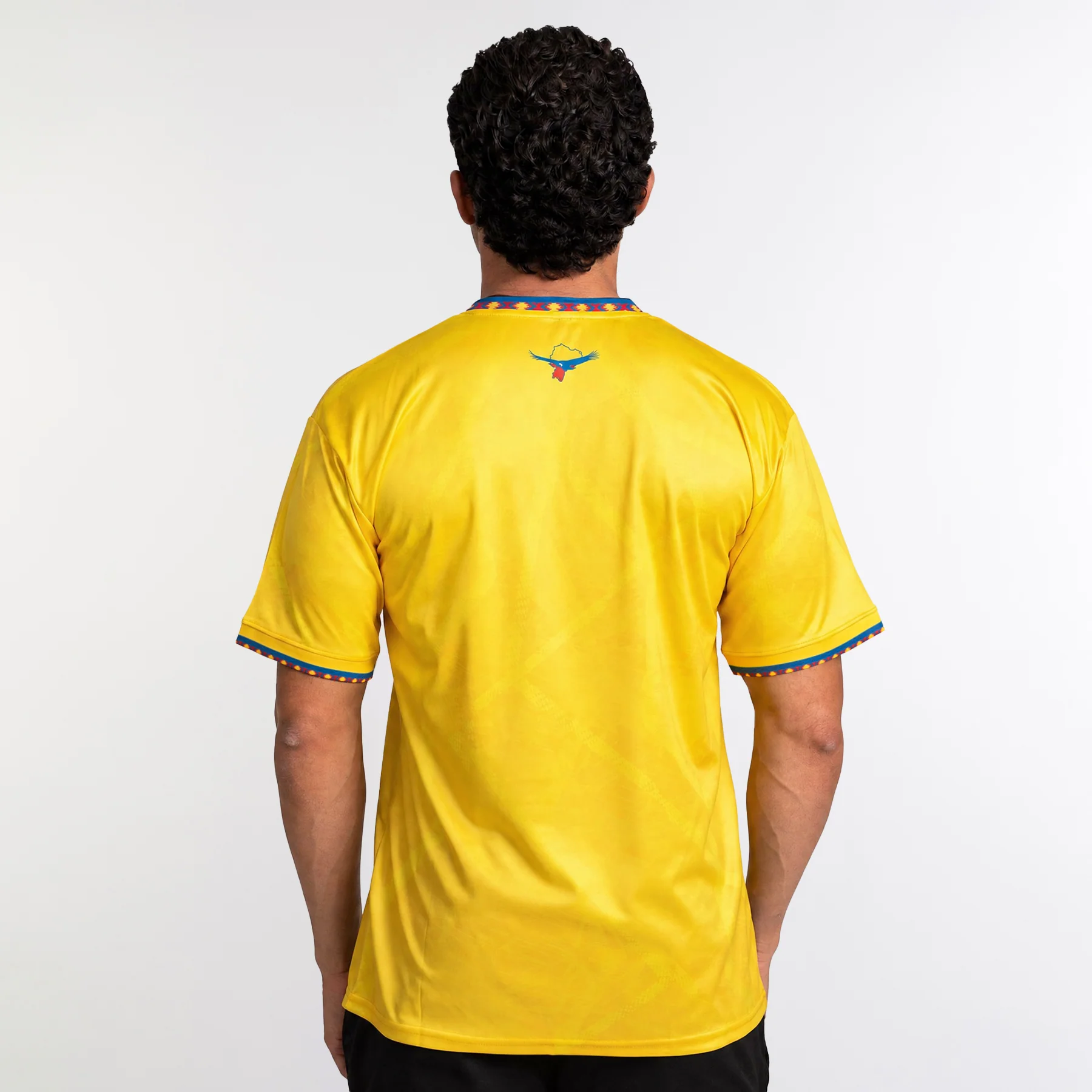 Ecuador Heritage Custom Football Jersey - Image 4